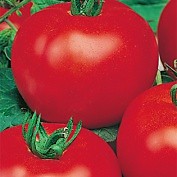 Мастер по ремонту квартир и офисов